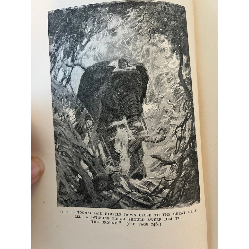 1899 The Jungle Book Rudyard Kipling - The Century Co / De Vinne Press - Antique