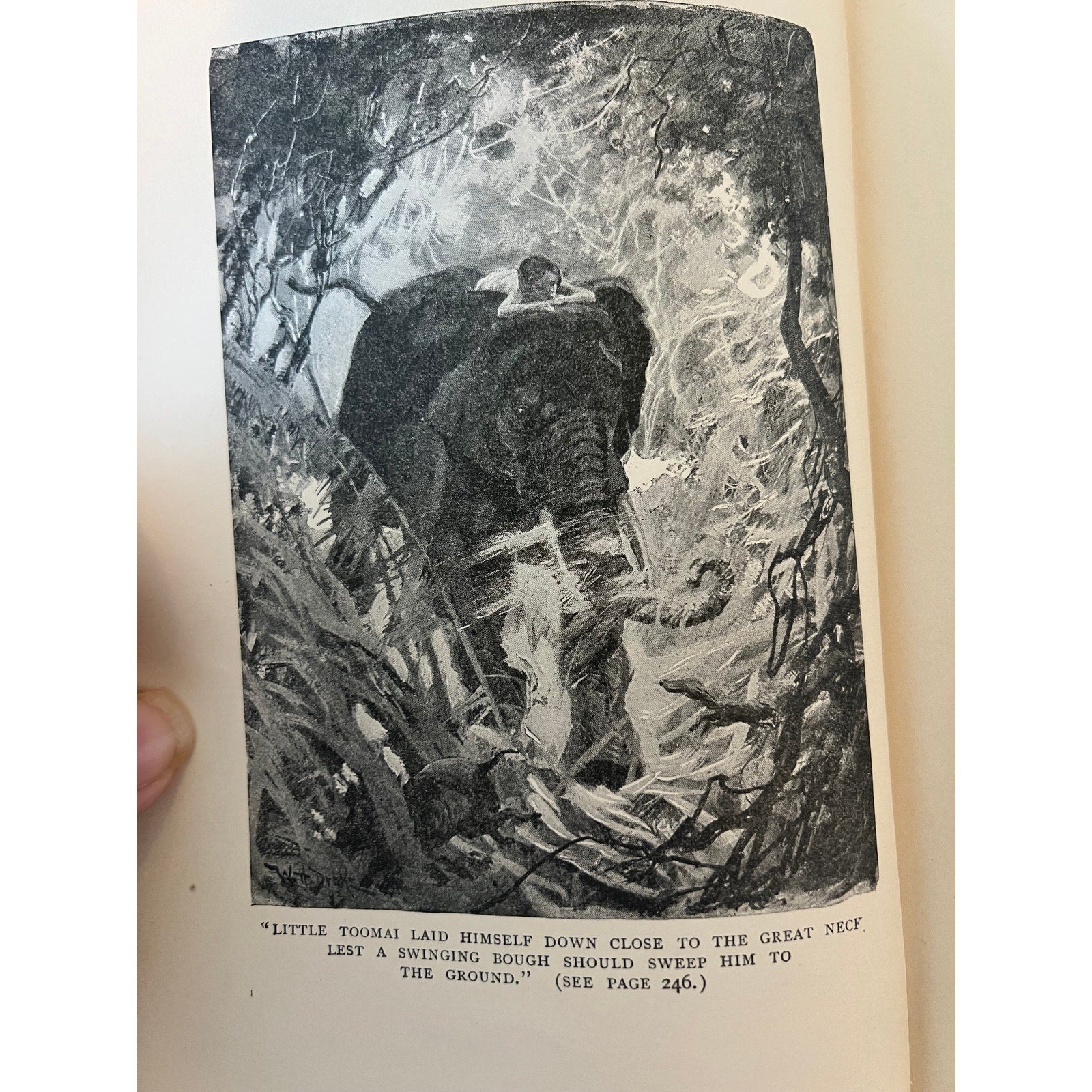 1899 The Jungle Book Rudyard Kipling - The Century Co / De Vinne Press - Antique
