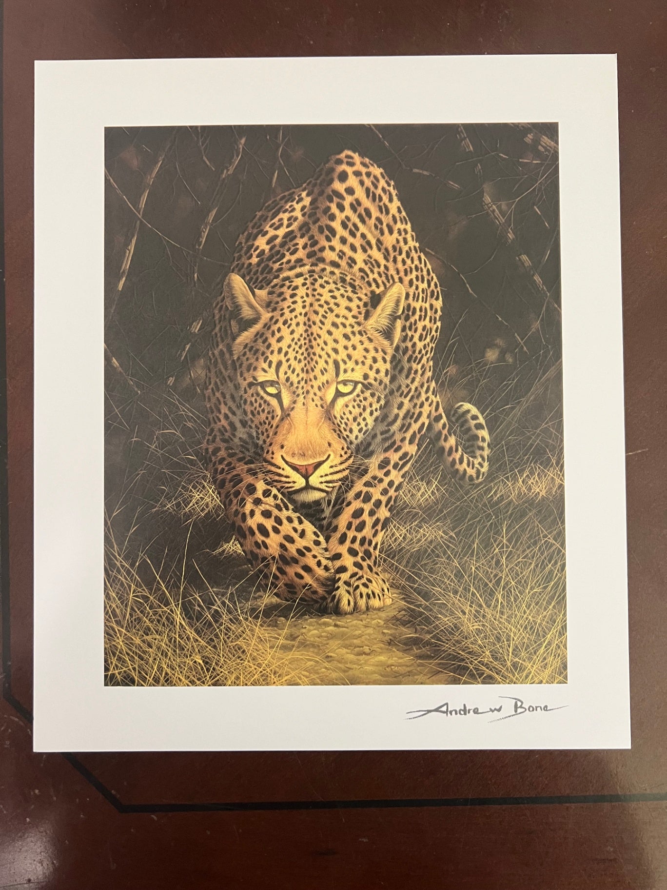 Andrew Bone African Mystique 2015 Seriolithograph Park West Signed in Plate