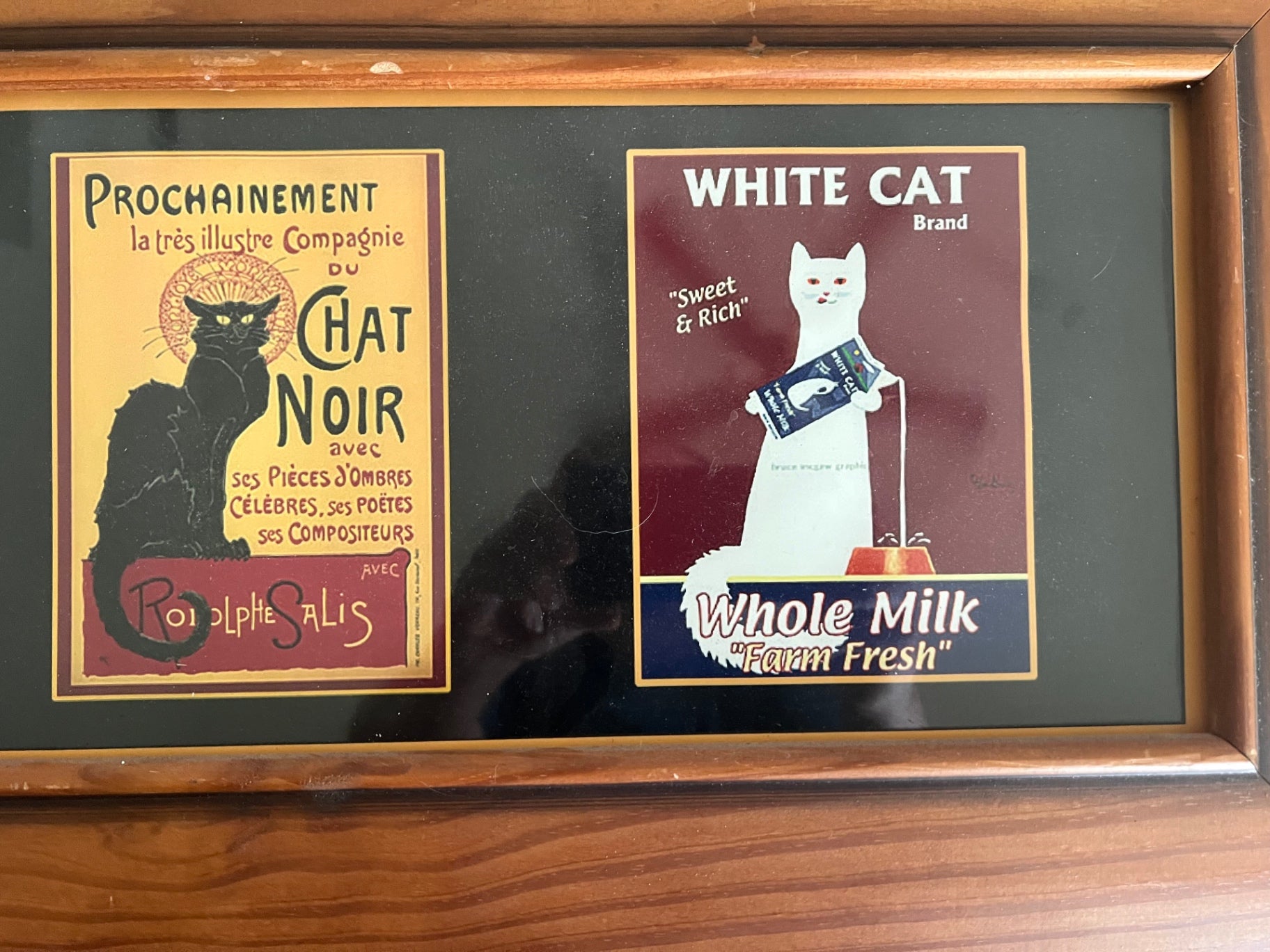 Vintage French Cat Advertising Framed Art