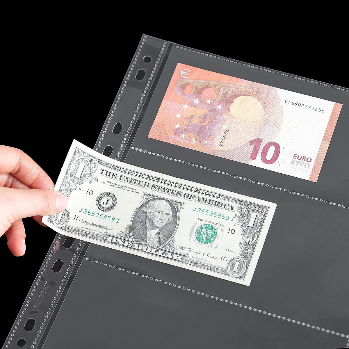 100 Pack 3-Pocket Currency Pages Paper Money Stamp Album Sheets