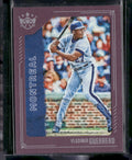 2021 Panini Diamond Kings #29 Vladimir Guerrero Framed Plum