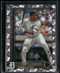 2025 Topps #269 Justyn-Henry Malloy Spring Training