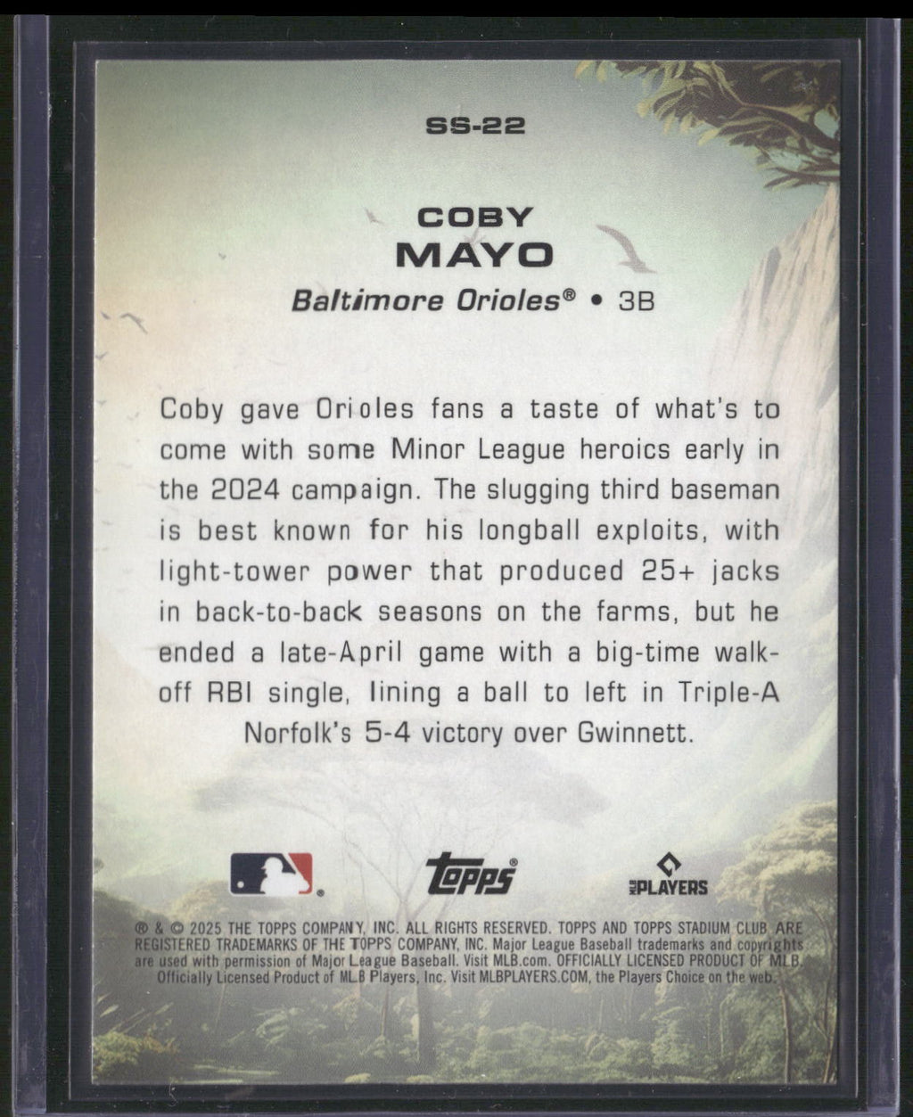 2025 Stadium Club #SS-22 Coby Mayo Savage Sluggers
