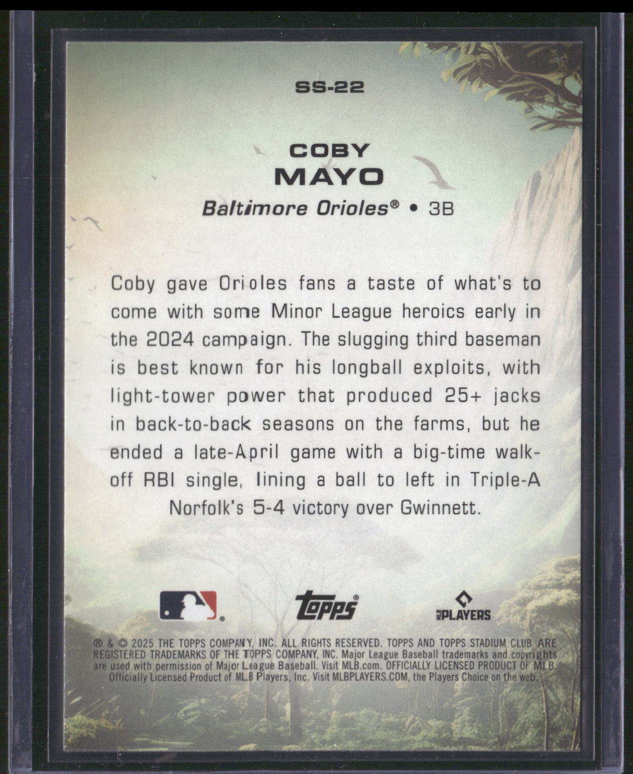 2025 Stadium Club #SS-22 Coby Mayo Savage Sluggers