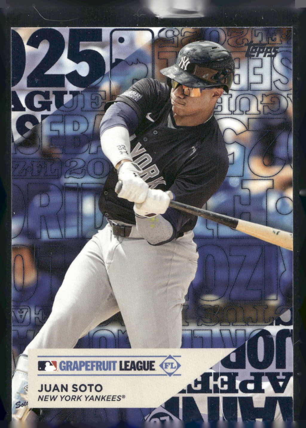 2025 Topps #TG-22 Juan Soto Training Grounds