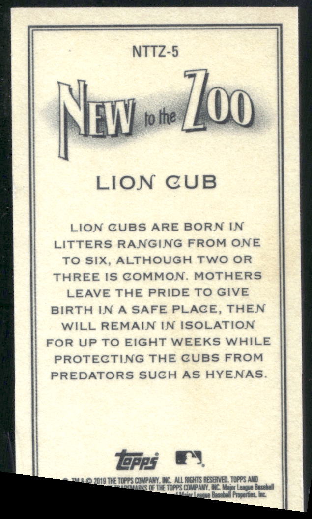 2019 Topps Allen & Ginter #NTTZ-5 Lion Cub New to the Zoo