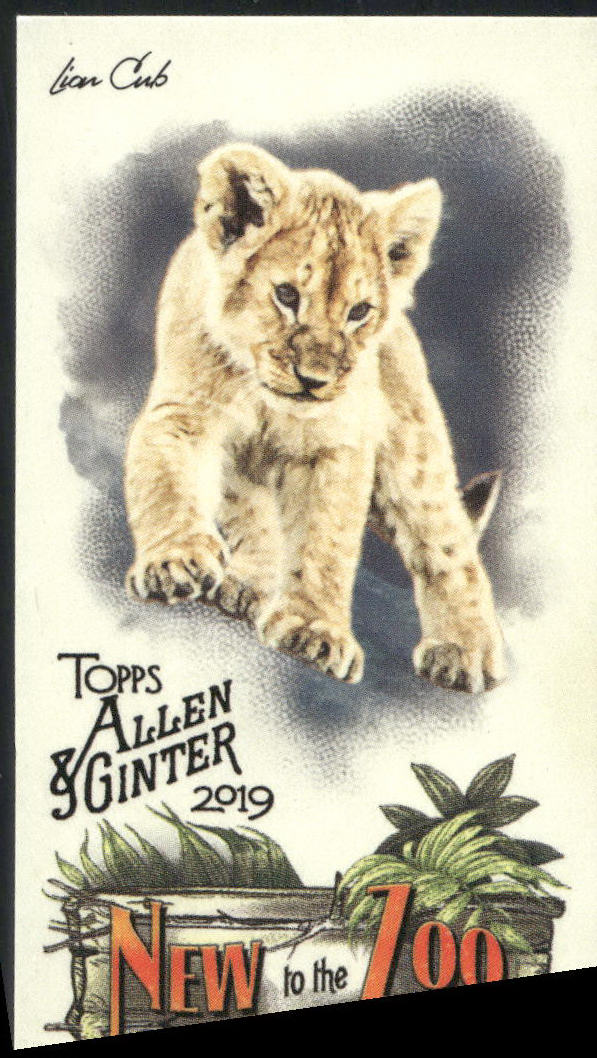 2019 Topps Allen & Ginter #NTTZ-5 Lion Cub New to the Zoo