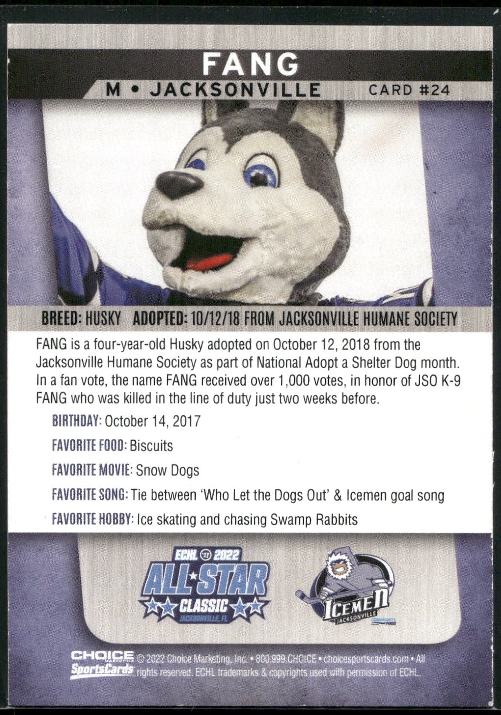 2021-22 Choice Jacksonville Icemen (ECHL) #24 Fang