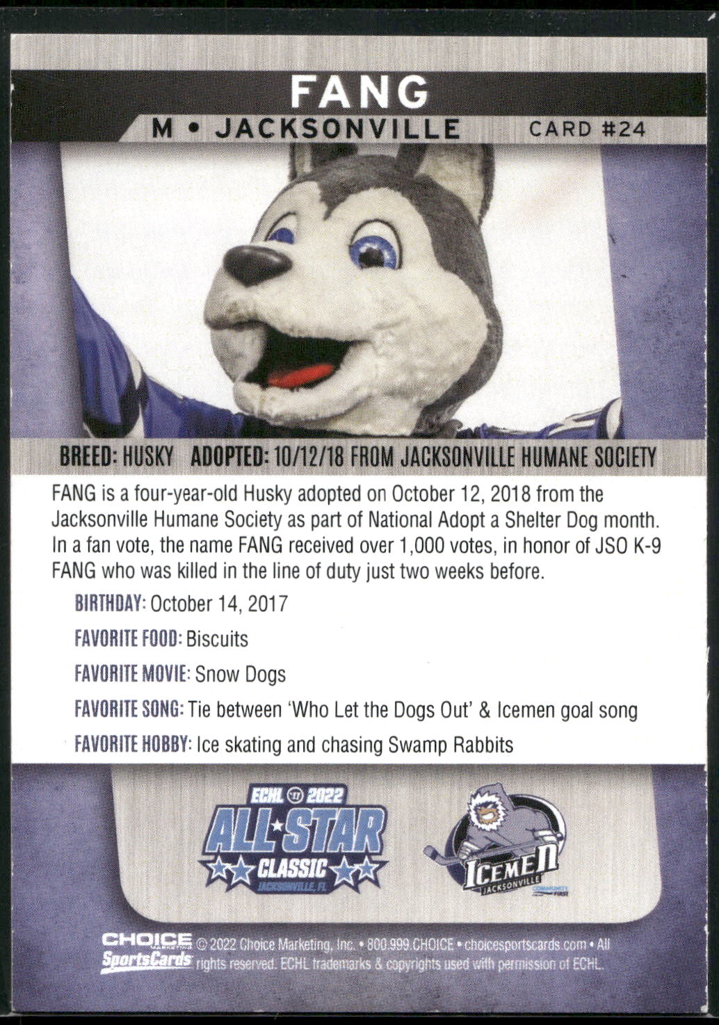 2021-22 Choice Jacksonville Icemen (ECHL) #24 Fang