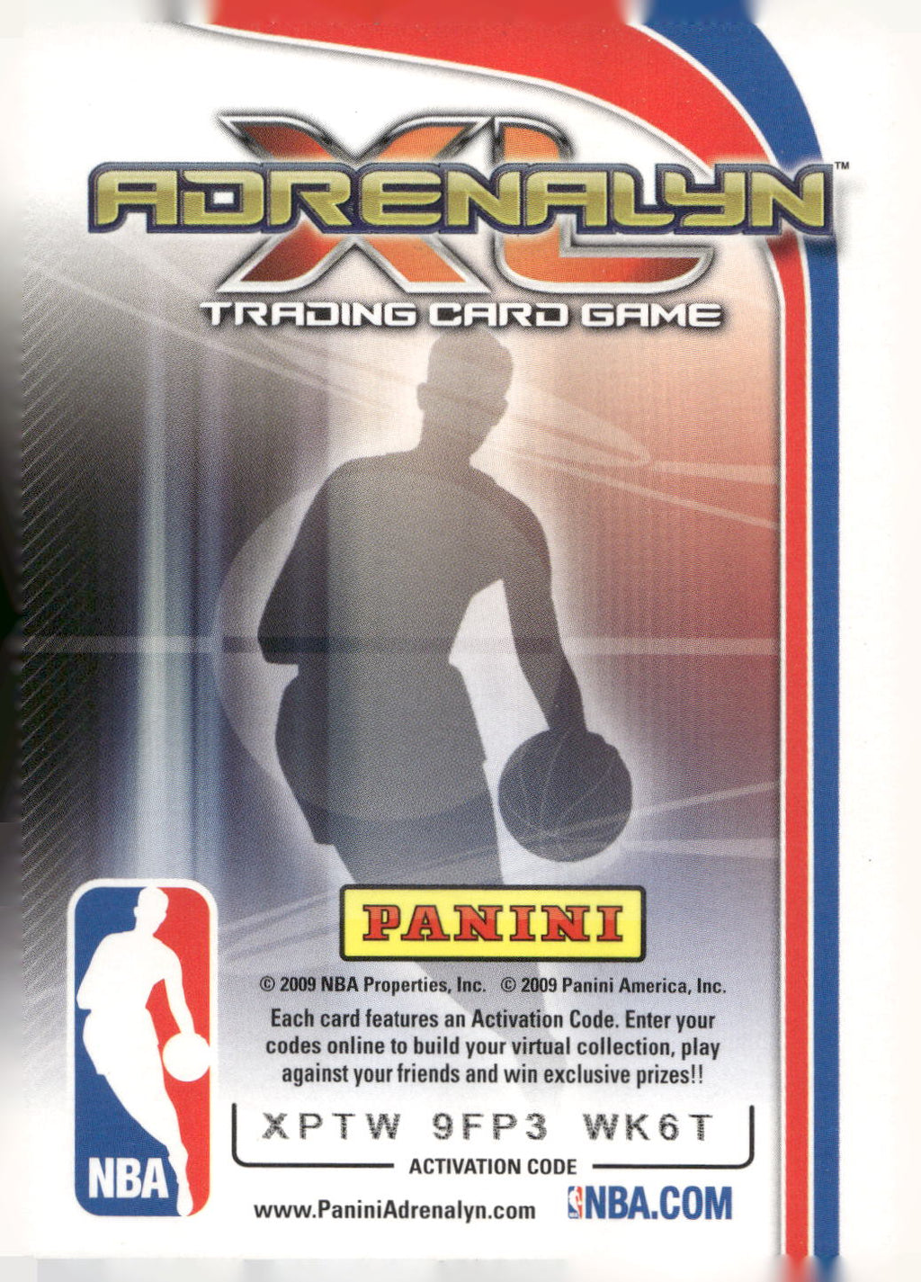 2009-10 Panini Adrenalyn XL #NNO Ray Allen