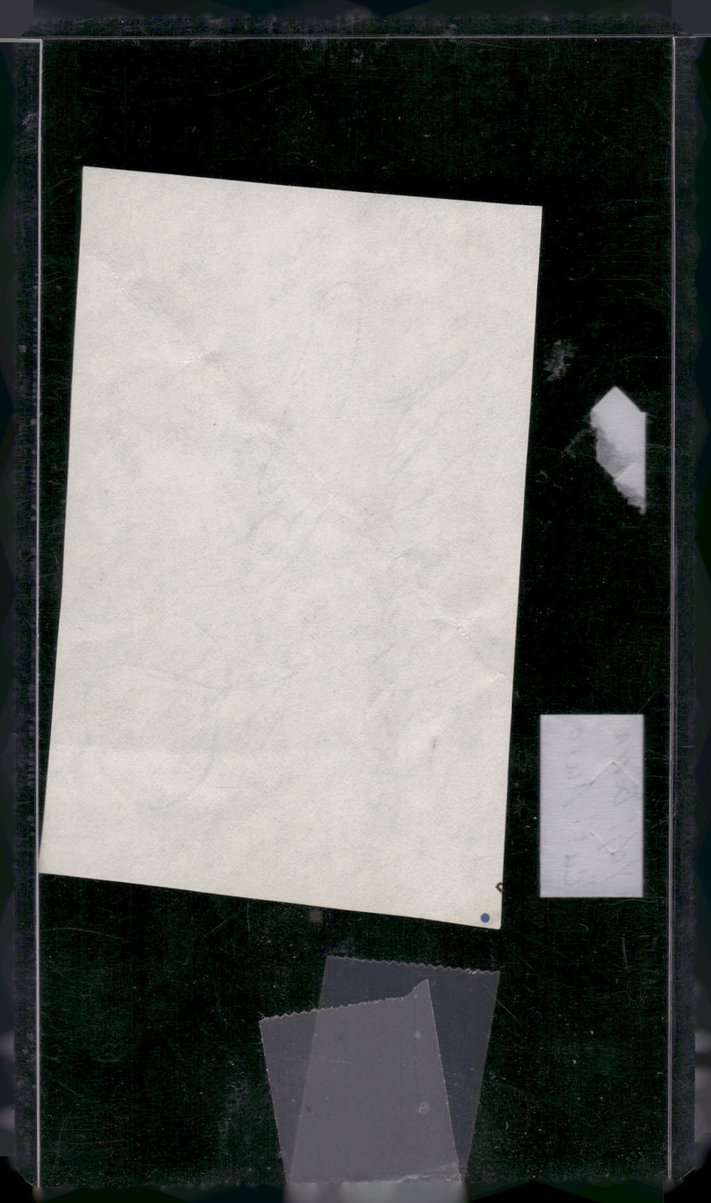 # Yogi Berra Cut Auto