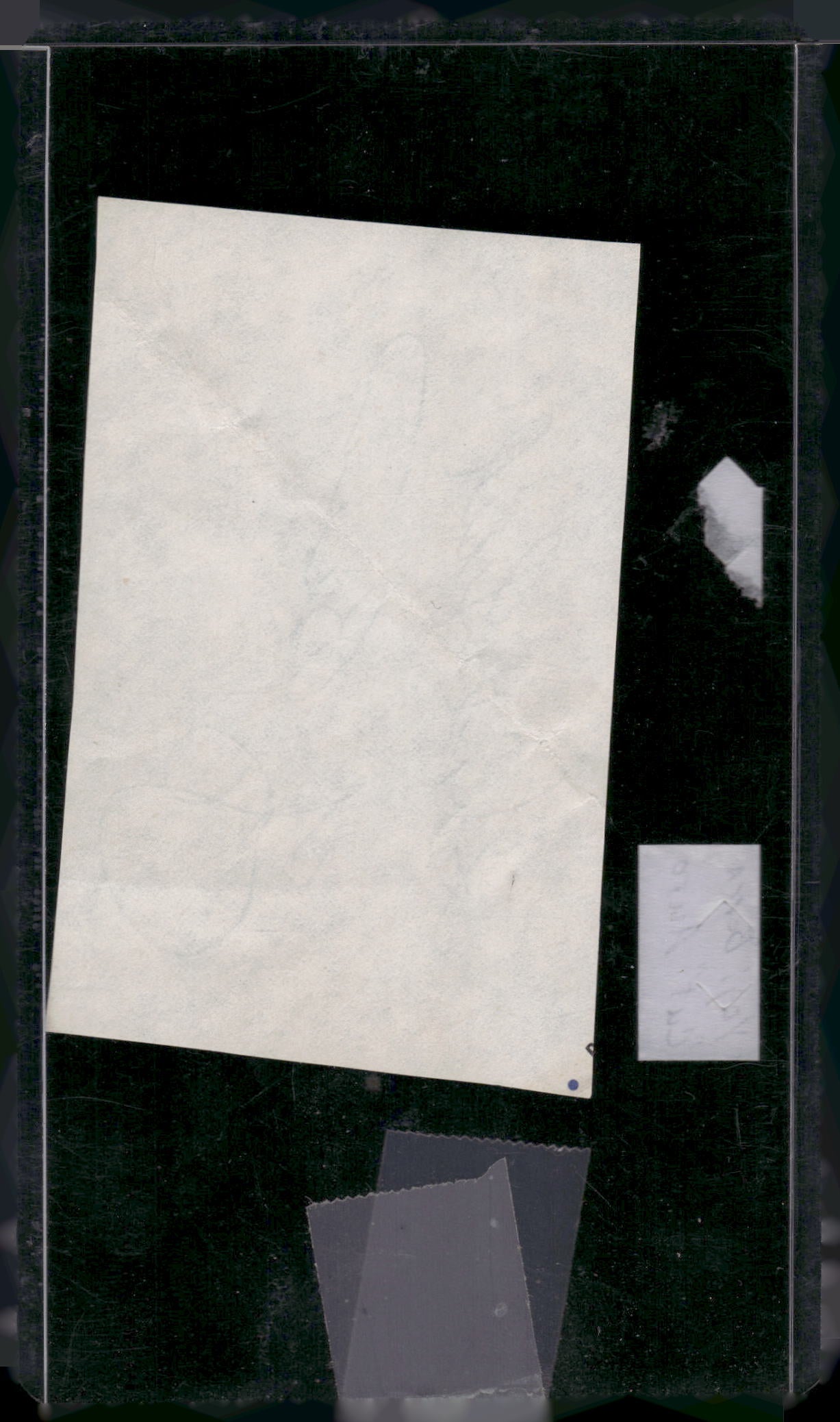 # Yogi Berra Cut Auto