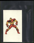 1996 Fleer/SkyBox Marvel Vision #Fleer11 Iron Man Marvel Vision Tattoos