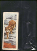 1963 Nabisco Sugar Daddy American Zoo Animals Series 1 #1 Bobcat