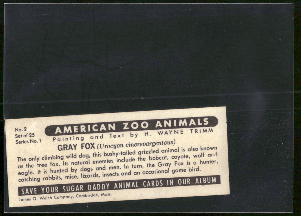 1963 Nabisco Sugar Daddy American Zoo Animals Series 1 #2 Gray Fox