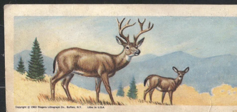 1963 Nabisco Sugar Daddy American Zoo Animals Series 1 #7 Black-tailed Deer