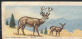 1963 Nabisco Sugar Daddy American Zoo Animals Series 1 #7 Black-tailed Deer
