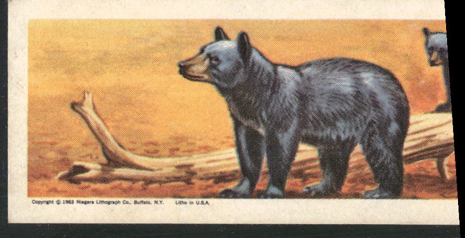 1963 Nabisco Sugar Daddy American Zoo Animals Series 1 #8 Black Bear