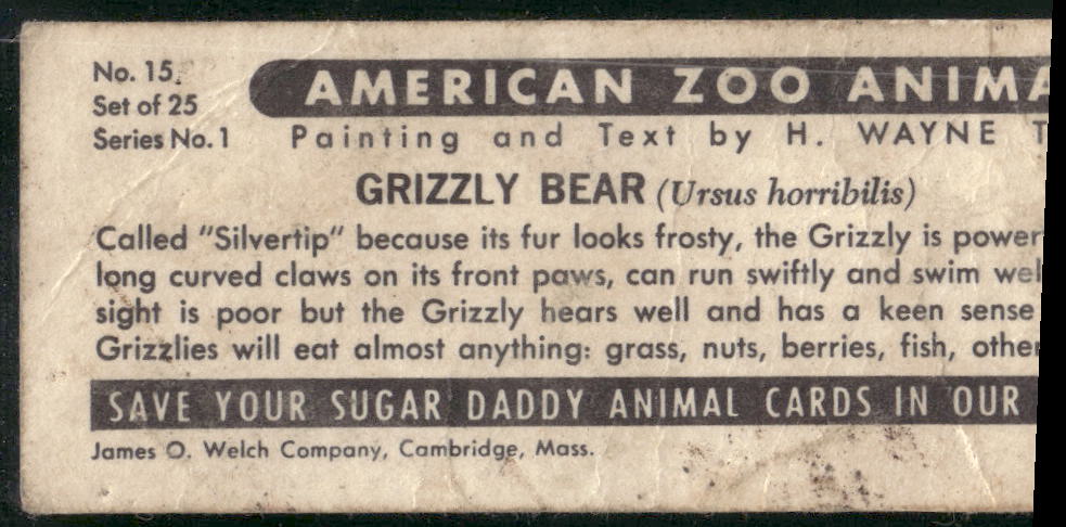 1963 Nabisco Sugar Daddy American Zoo Animals Series 1 #15 Grizzly Bear