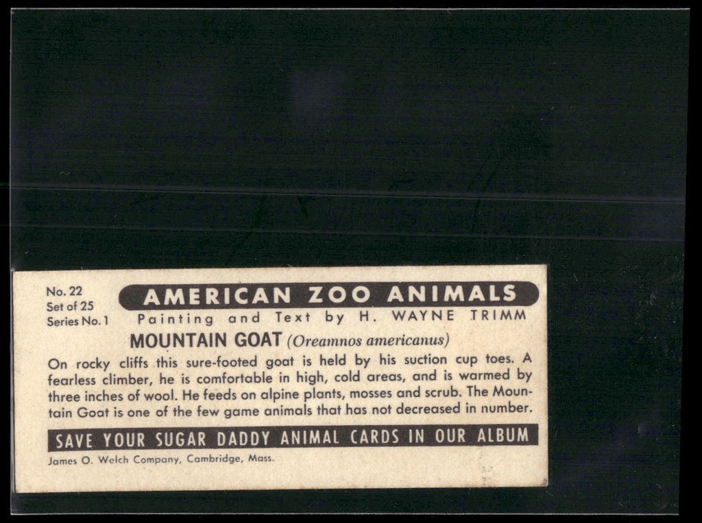 1963 Nabisco Sugar Daddy American Zoo Animals Series 1 #22 Mountain Goat
