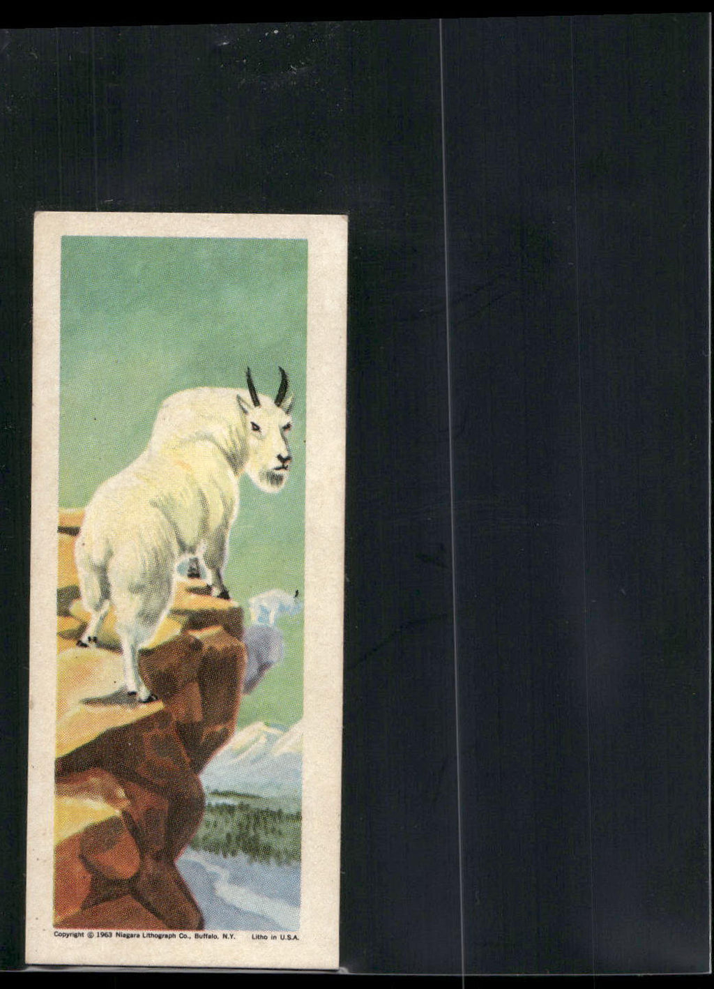 1963 Nabisco Sugar Daddy American Zoo Animals Series 1 #22 Mountain Goat