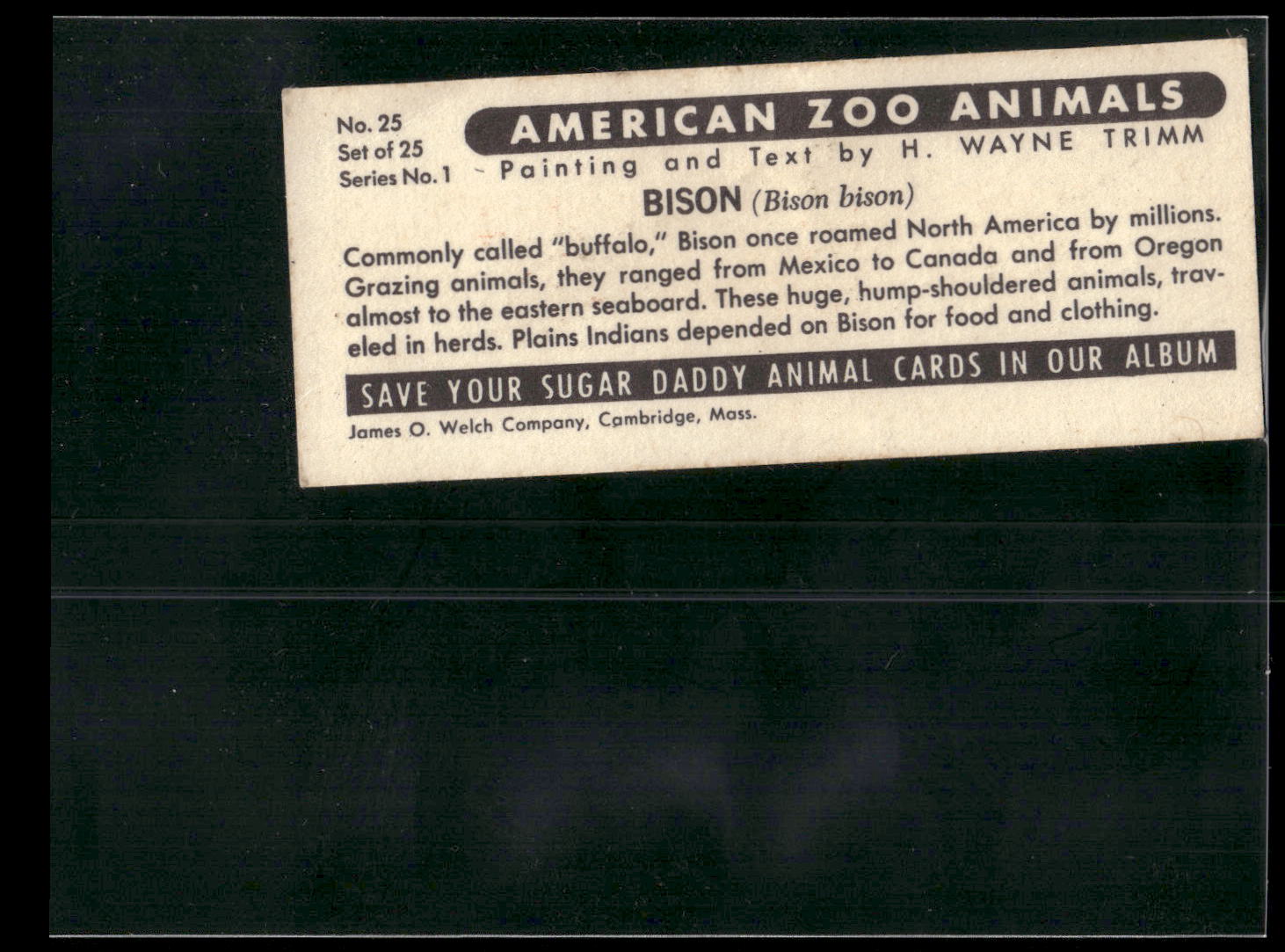 1963 Nabisco Sugar Daddy American Zoo Animals Series 1 #25 Bison