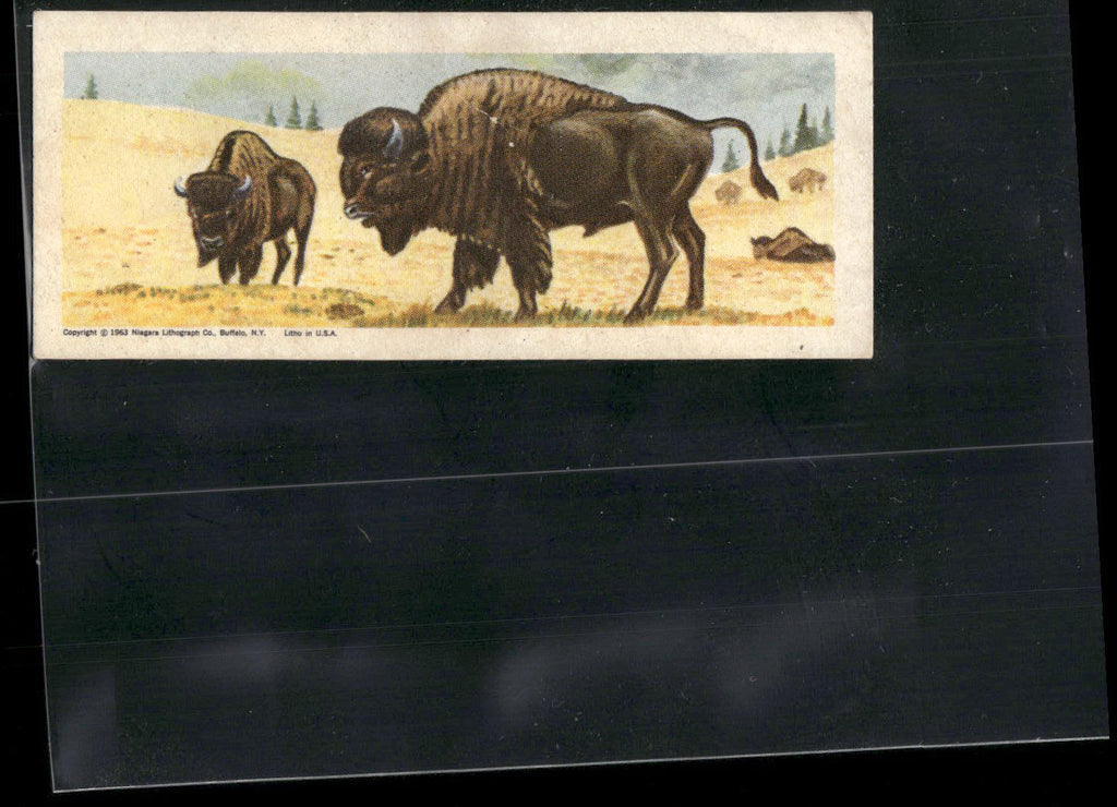 1963 Nabisco Sugar Daddy American Zoo Animals Series 1 #25 Bison