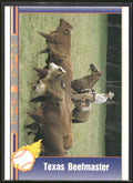 1991 Pacific Nolan Ryan Texas Express I #104 Nolan Ryan