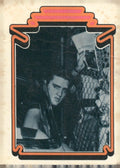 1978 Donruss Elvis Presley #48 The death of Elvis Presley spawned a