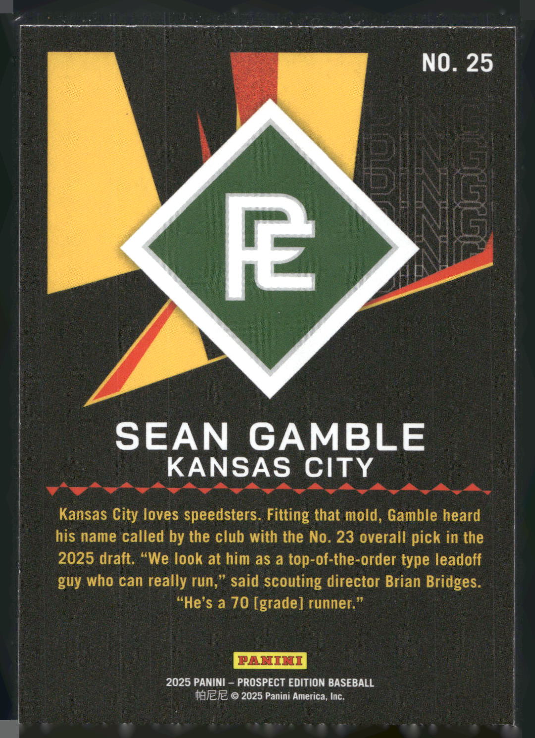 2025 Panini Prospect Edition #25 Sean Gamble Ping!