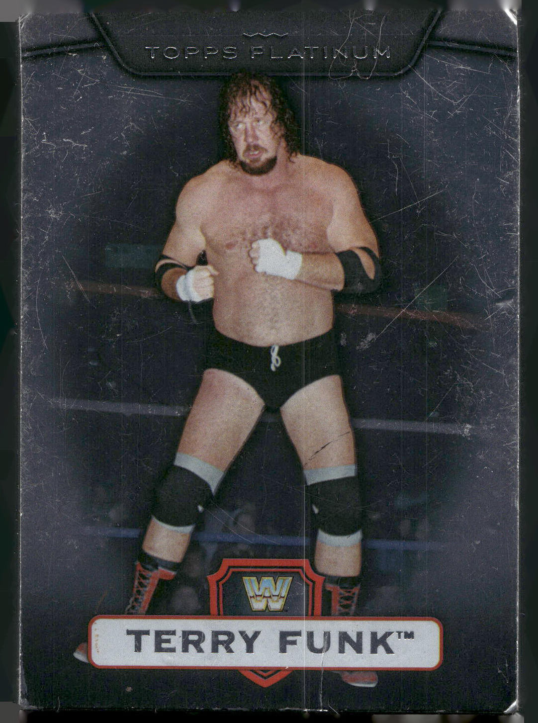 2010 Topps Platinum WWE #104 Terry Funk