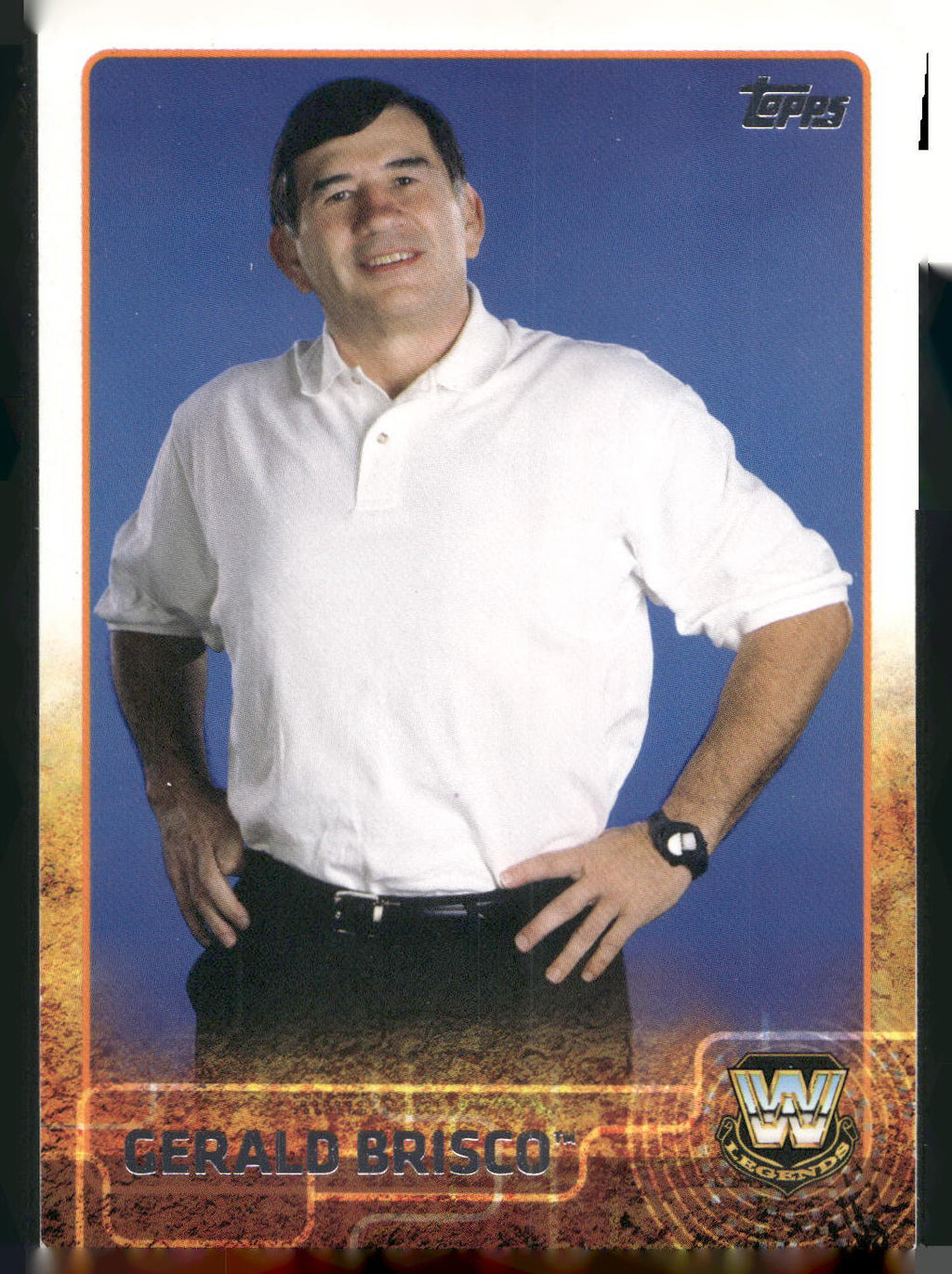 2015 Topps WWE #91 Gerald Brisco