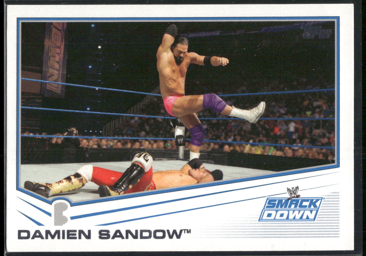 2013 Topps WWE #52 Damien Sandow