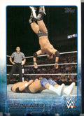 2015 Topps WWE #43 Justin Gabriel