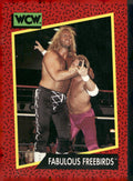 1991 Impel WCW #123 Fabulous Freebirds