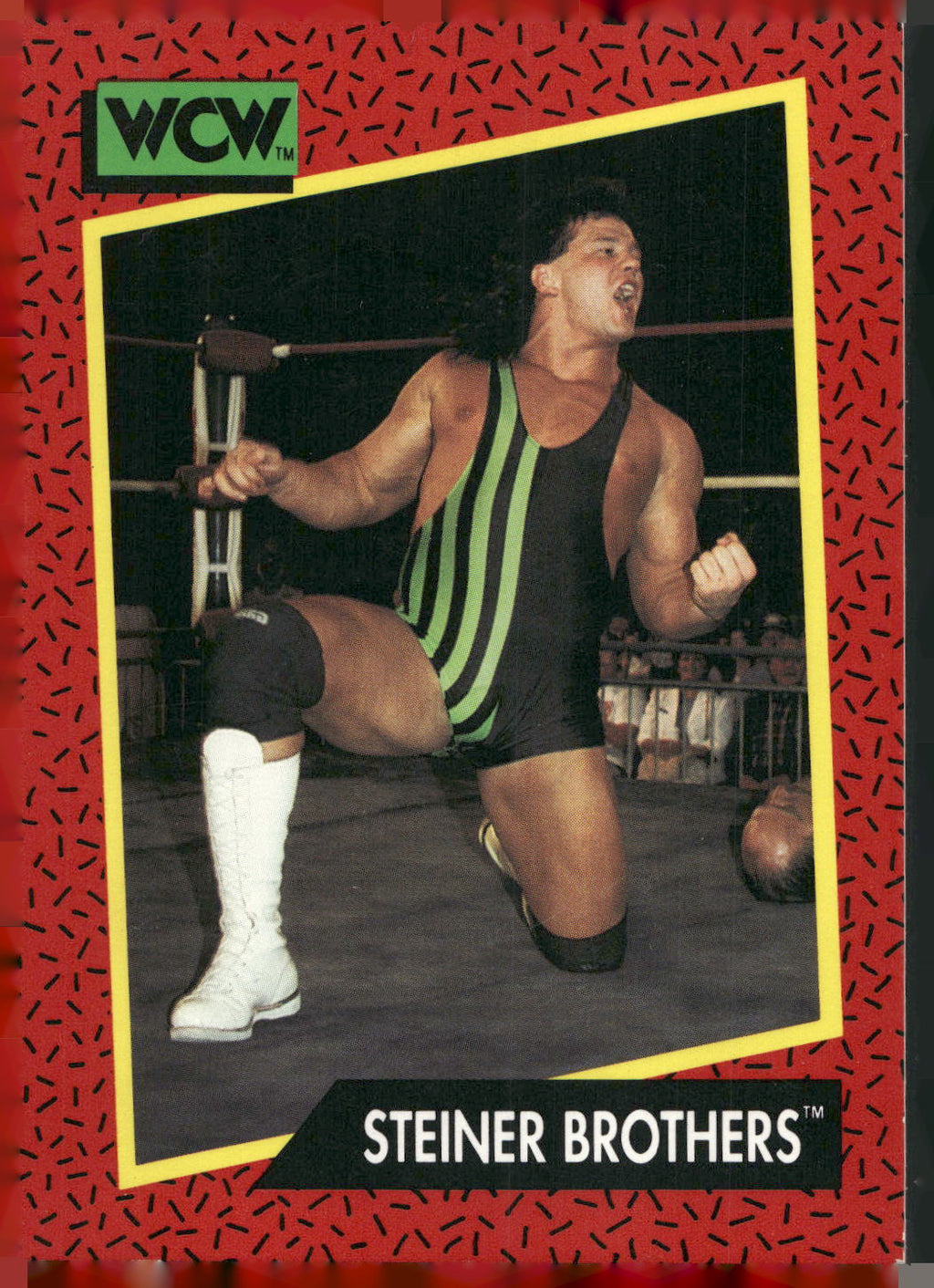 1991 Impel WCW #113 Steiner Brothers