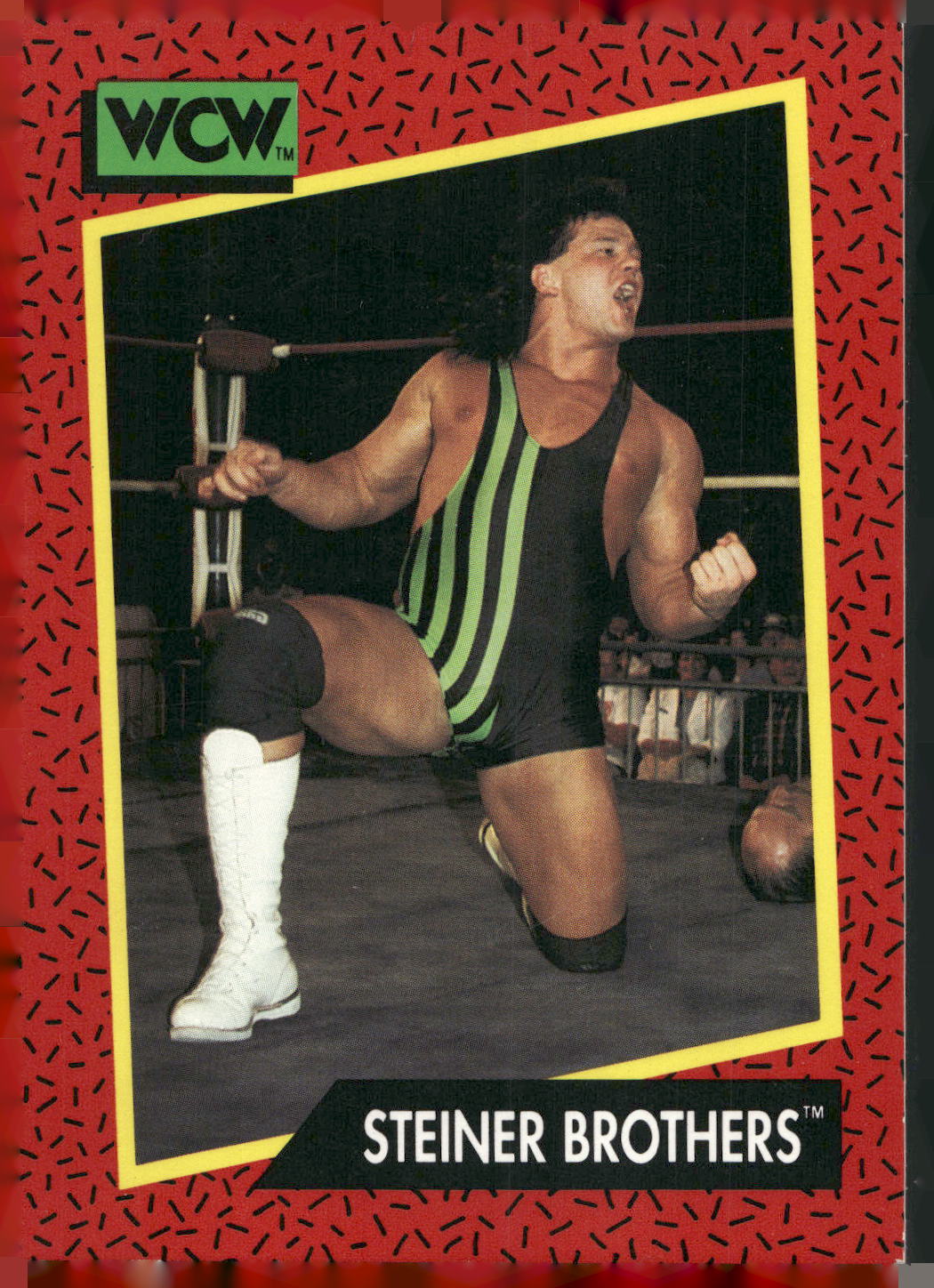 1991 Impel WCW #113 Steiner Brothers