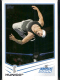 2013 Topps WWE #59 Hunico
