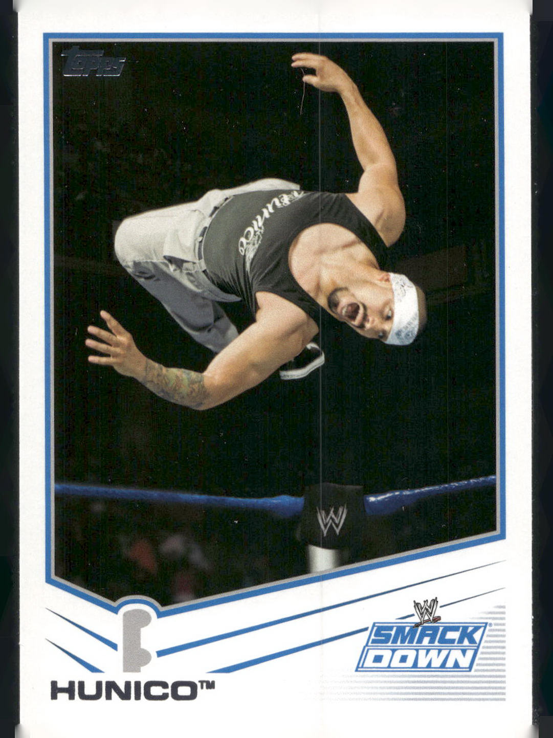 2013 Topps WWE #59 Hunico