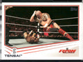2013 Topps WWE #40 Tensai