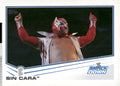 2013 Topps WWE #76 Sin Cara