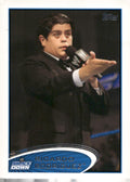 2012 Topps WWE #20 Ricardo Rodriguez