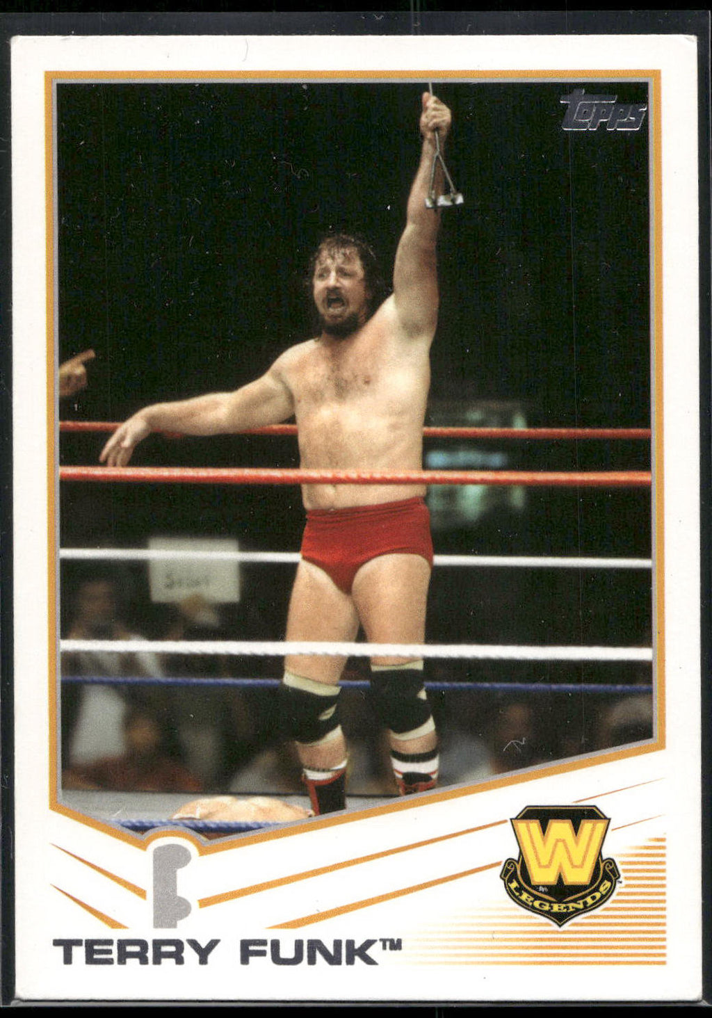 2013 Topps WWE #106 Terry Funk