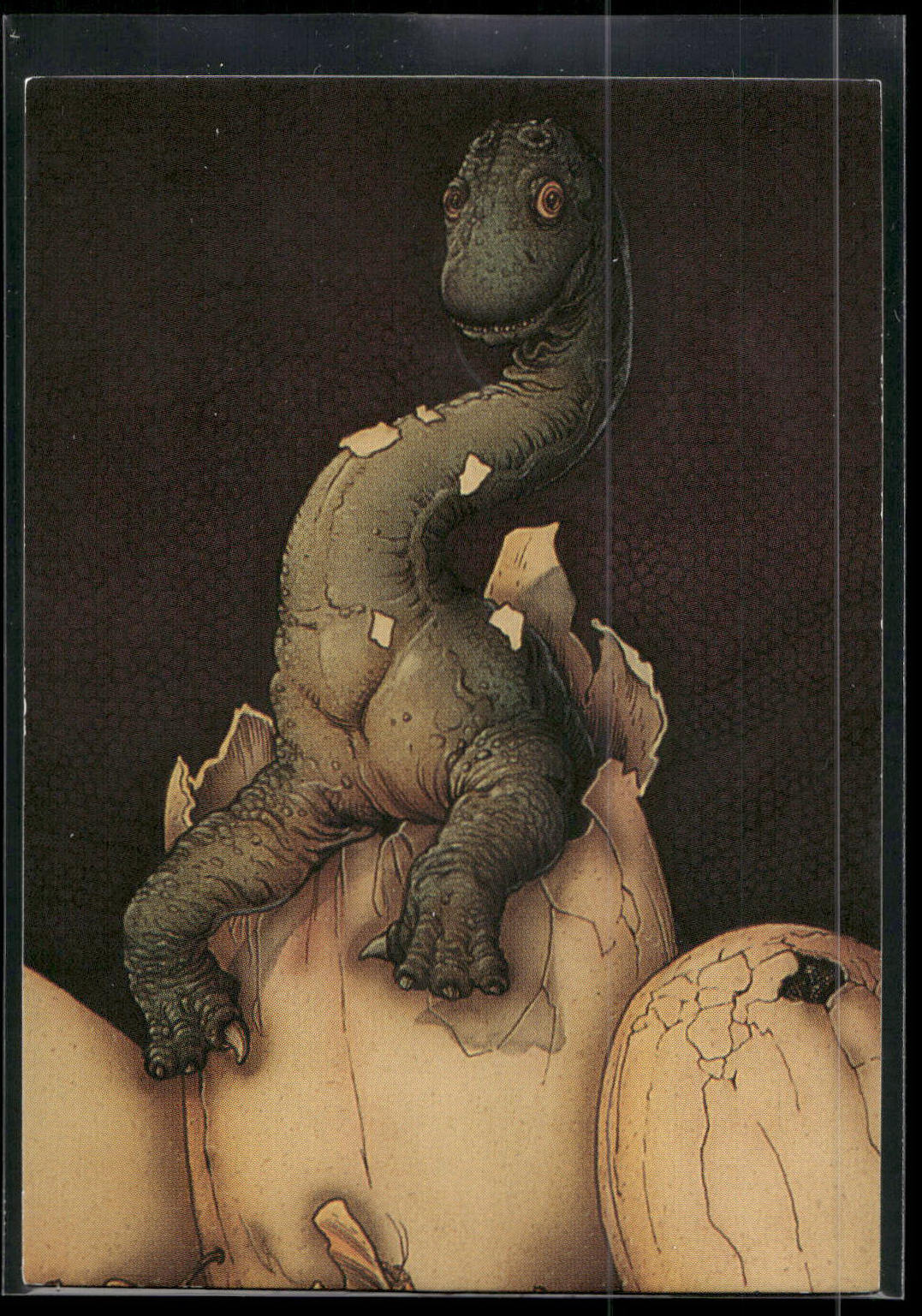 1993 Comic Images William Stout Series 1 #7 Happy Birthday