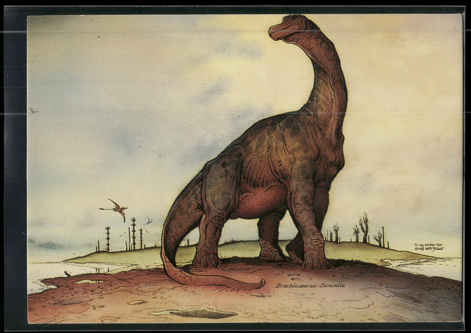 1993 Comic Images William Stout Series 1 #17 Brachiosaurus Juvenile