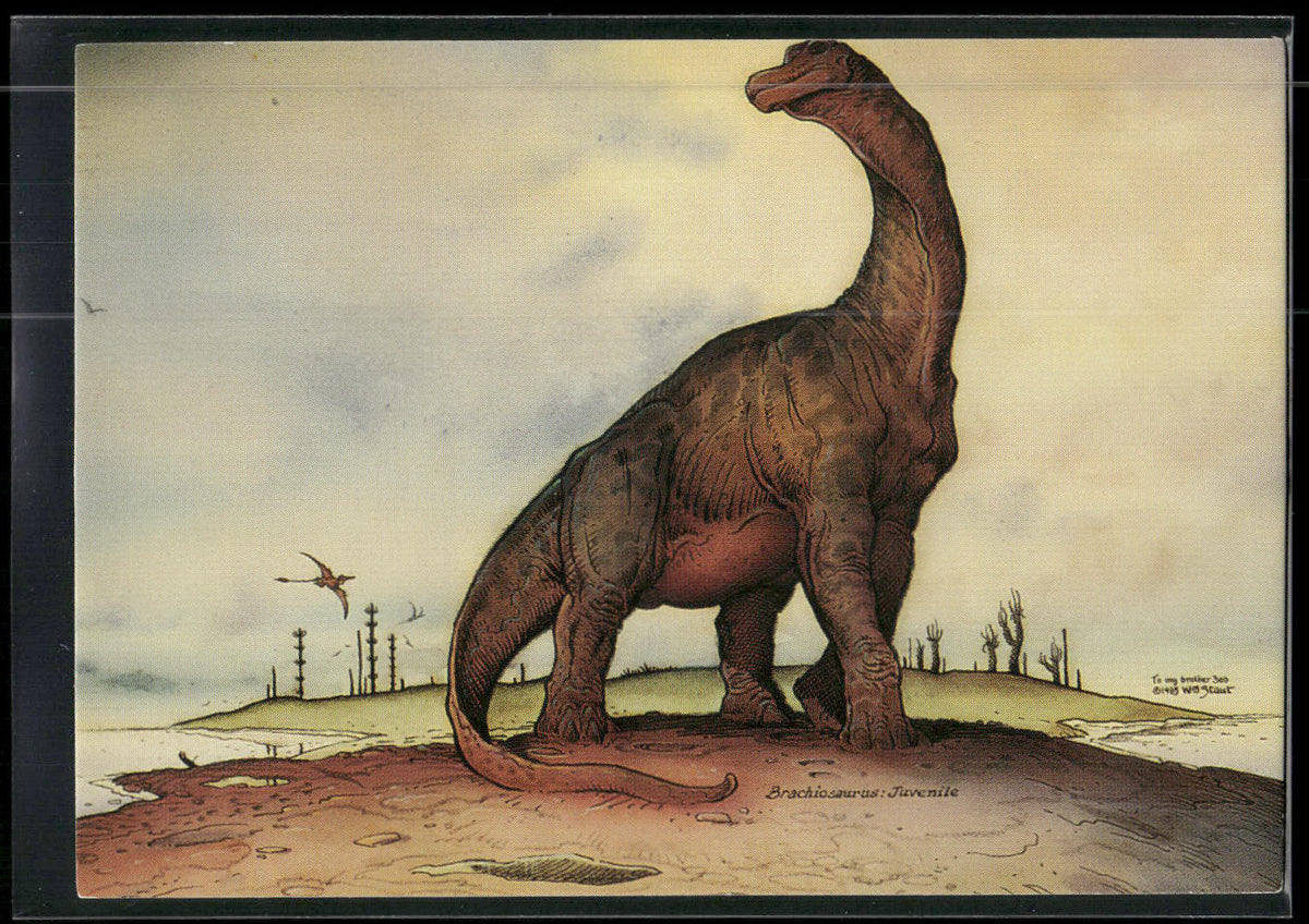 1993 Comic Images William Stout Series 1 #17 Brachiosaurus Juvenile
