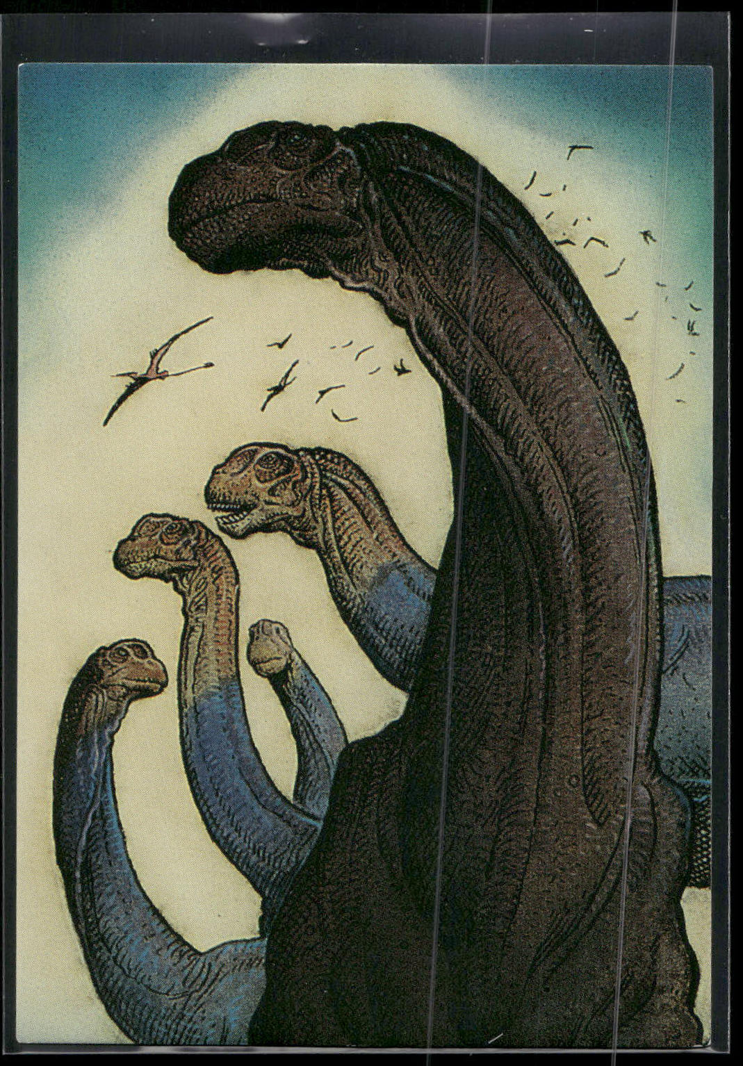 1993 Comic Images William Stout Series 1 #21 Camarasaurs