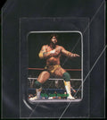 1988 Borden WWF Tag Team of the Year Stickers #NNO Billy Jack Haynes