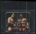 1988 Borden WWF Tag Team of the Year Stickers #NNO Smash and Ax - Demolition